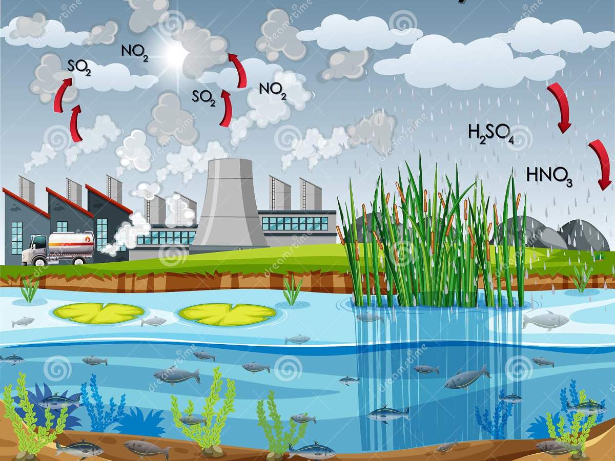 Carbon Trading and Investment: Can there be more to&nbsp;it?